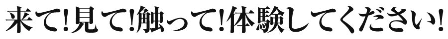 来て！見て！触って！体験してください！