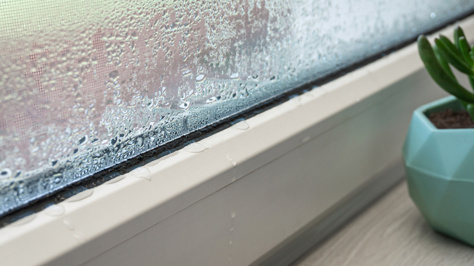 なぜ築40年の家は「結露・カビ」が止まらないのか？