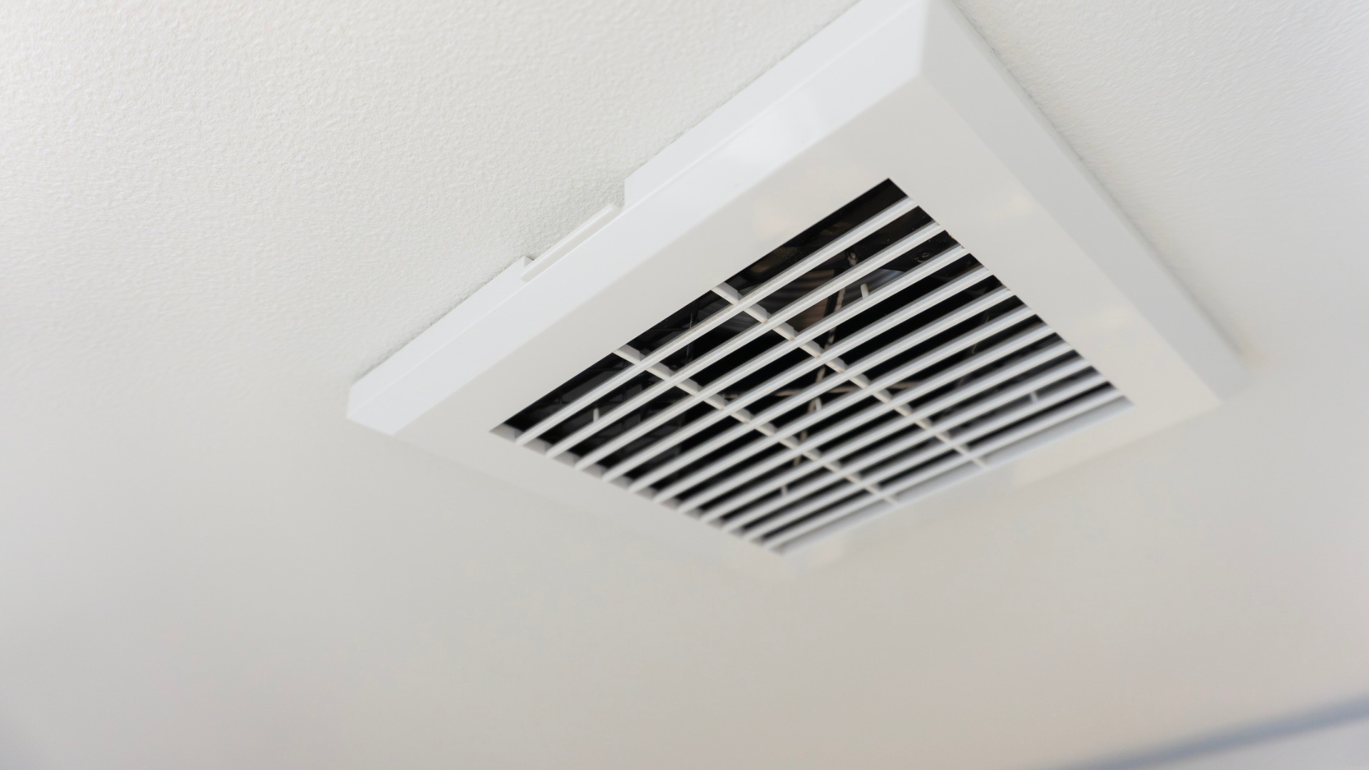 根本解決！カビ対策リフォームの具体策と費用相場